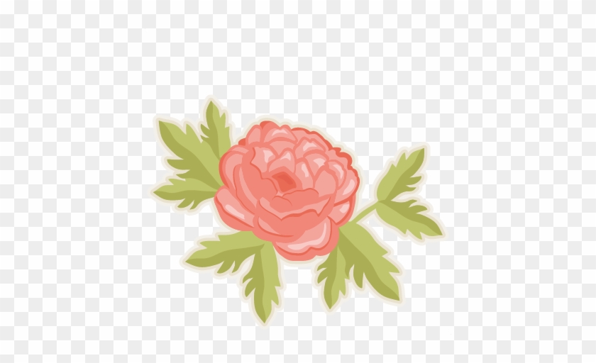 Peony Clipart - Peony Flower Clip Art #823631