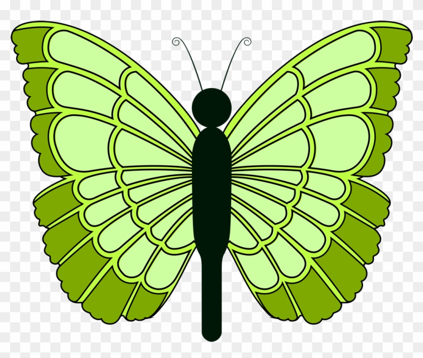 Butterfly2 Green Dark Green - Butterfly2 Green Dark Green #823646