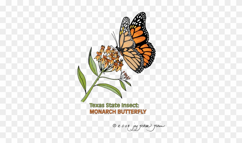 Monarch Clip Art Gif File With Transparent Background - Clip Art #823853