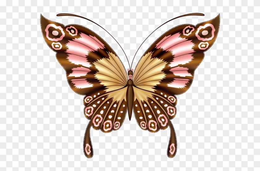 Clipart Butterfly - Butterfly Beautiful Art #823932