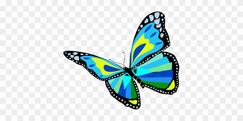 Animal Blue Butterfly Flower Green Insect - Flying Butterfly Clip Art #823940