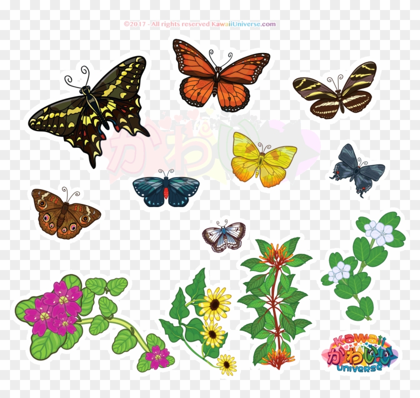 Butterflies Animation 16 Monarch Flock Footage 000459767 - Kawaii Universe #823949
