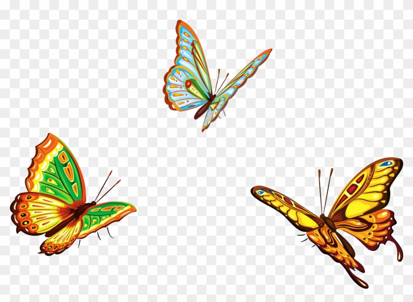 Three Butterflies Png Clipart Picture - Three Butterflies Png Clipart Picture #823989