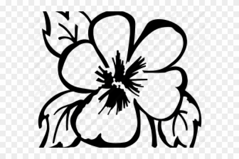 Buttercup Clipart Pansy - Pansy #823961