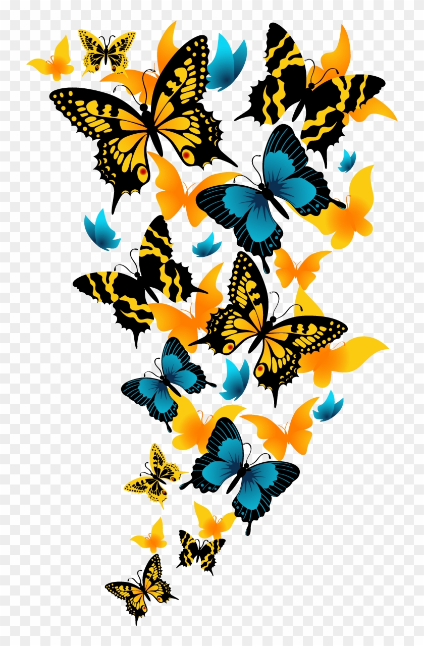 Http - //image - Noelshack - - Beautiful Butterfly Png #824025