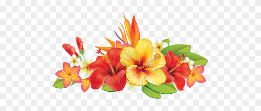 0 Cc5c4 B799d61a L - Tropical Flowers Vector Png #824053