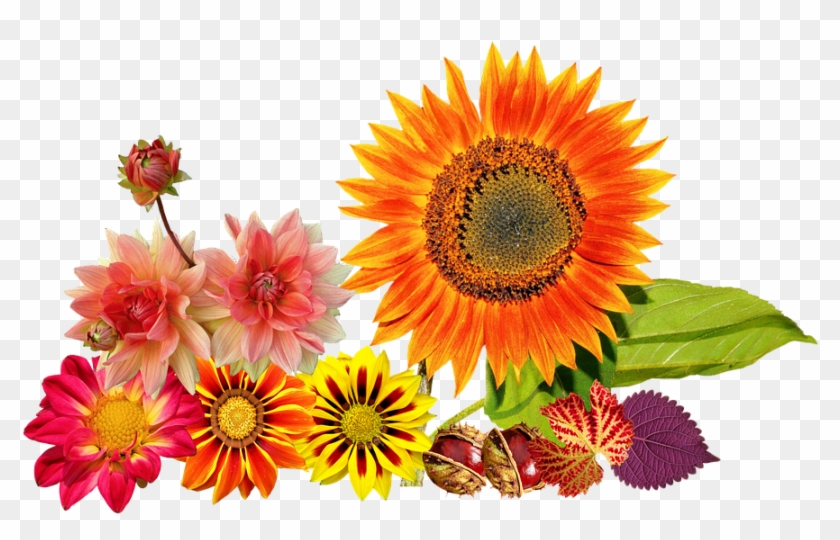 Autumn Flowers Cliparts 6, Buy Clip Art - Autumn Flowers Png #824058