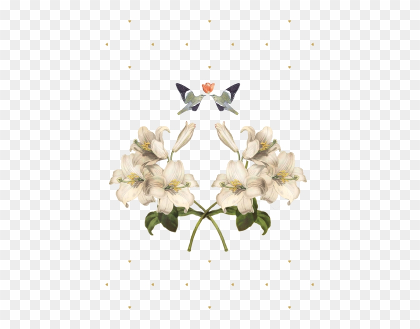 Wedding - Cyclamen #824118