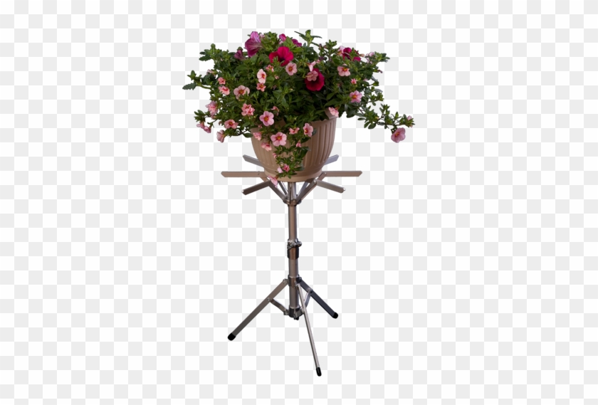 Small Foldingtop Stand Featuring Flower Arrangement - All Flower Stand Png #824120