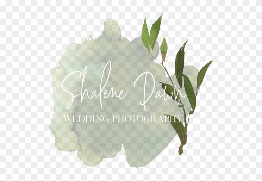 Shalene Dawn Photography Edmonton Alberta Elopement - Agave #824129