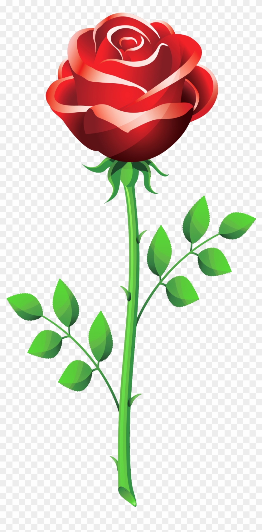 Roses Red Rose Clipart Clipart - Rose Flower Vector Png #824139