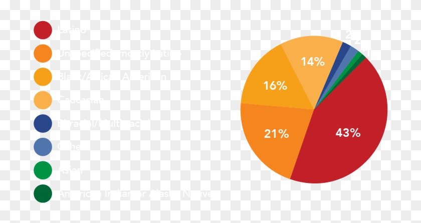 Racial/ethnic Makeup - Circle #824409