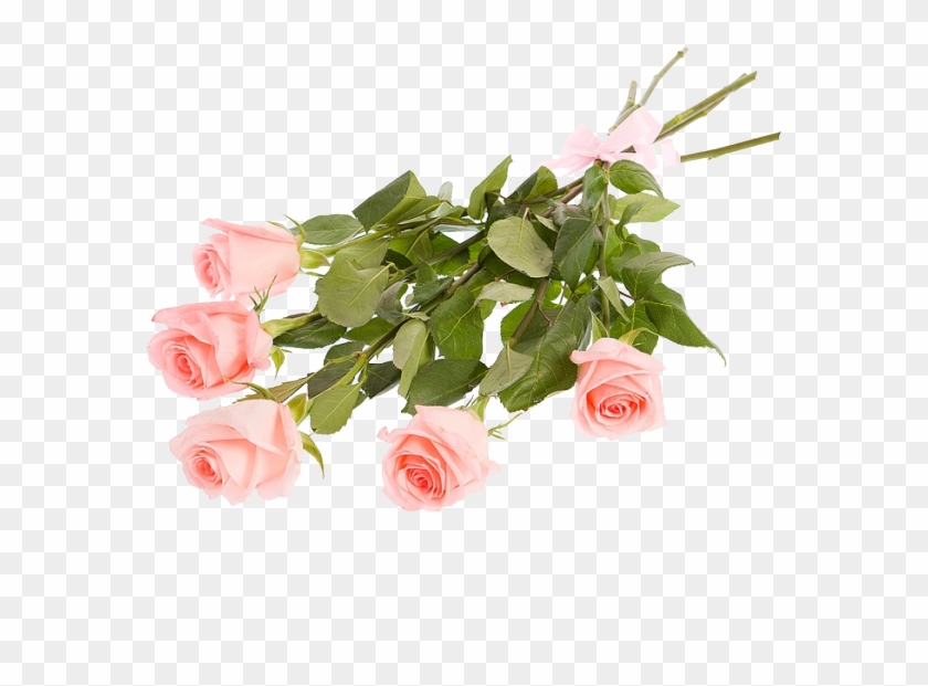 Букет Из 3 Роз Букет Из 5 Роз - Garden Roses #824495