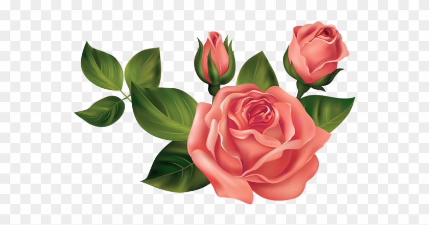 0, - Roses Clipart Transparent #824507