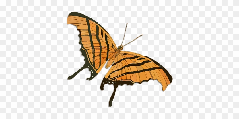 Butterfly Vintage Clip Art Drawing Colorfu - Colorful Vintage Butterfly #824539