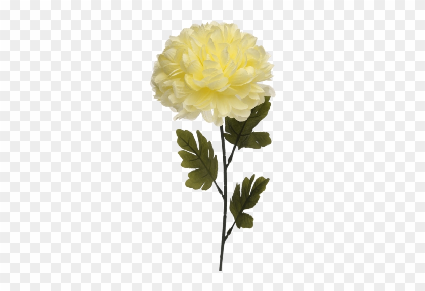 Single Ball Mum Artificial Flower Stem - Lady Banks' Rose #824574