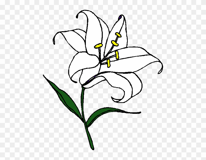 Easter Lily Clipart Free - Tiger Lily Coloring Pages #824830