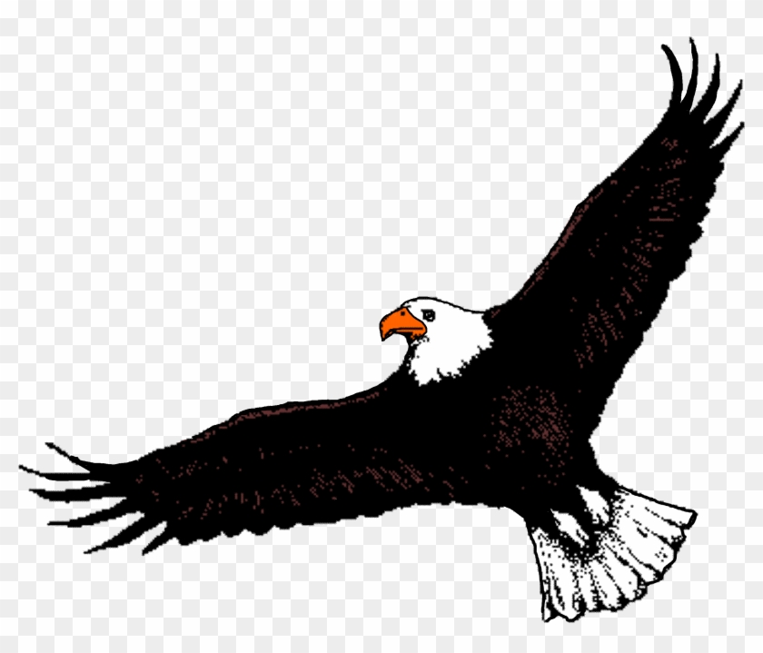Bald Eagle Clipart Flight Clipart - Eagle With Wings Spread #824884