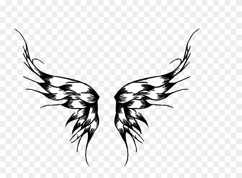 Wings - Tattoos Transparent #825008