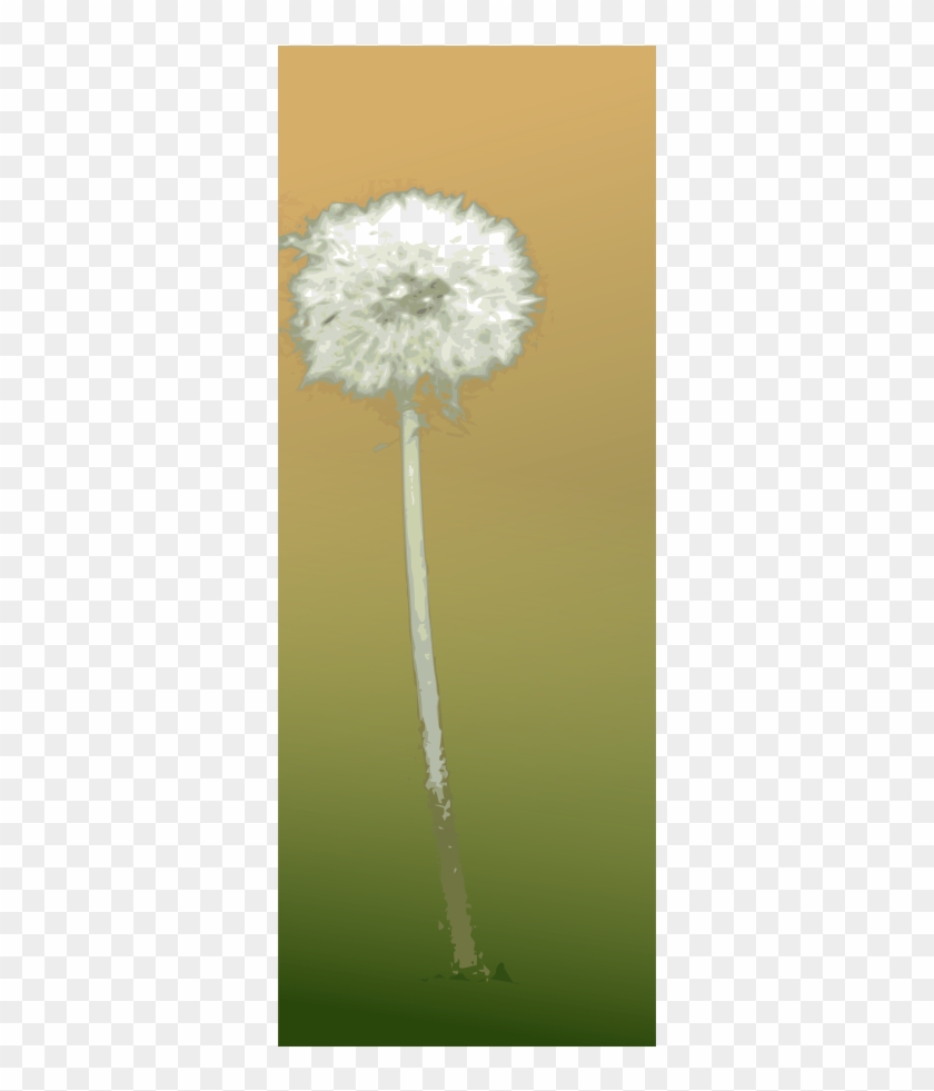 Dandelion Clock - Dandelion #825061