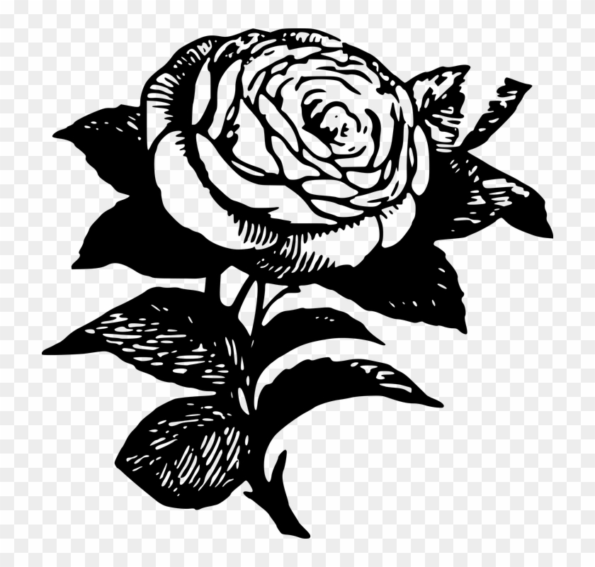Rose Black And White Clipart 4, Buy Clip Art - Black And White Stencils #825315