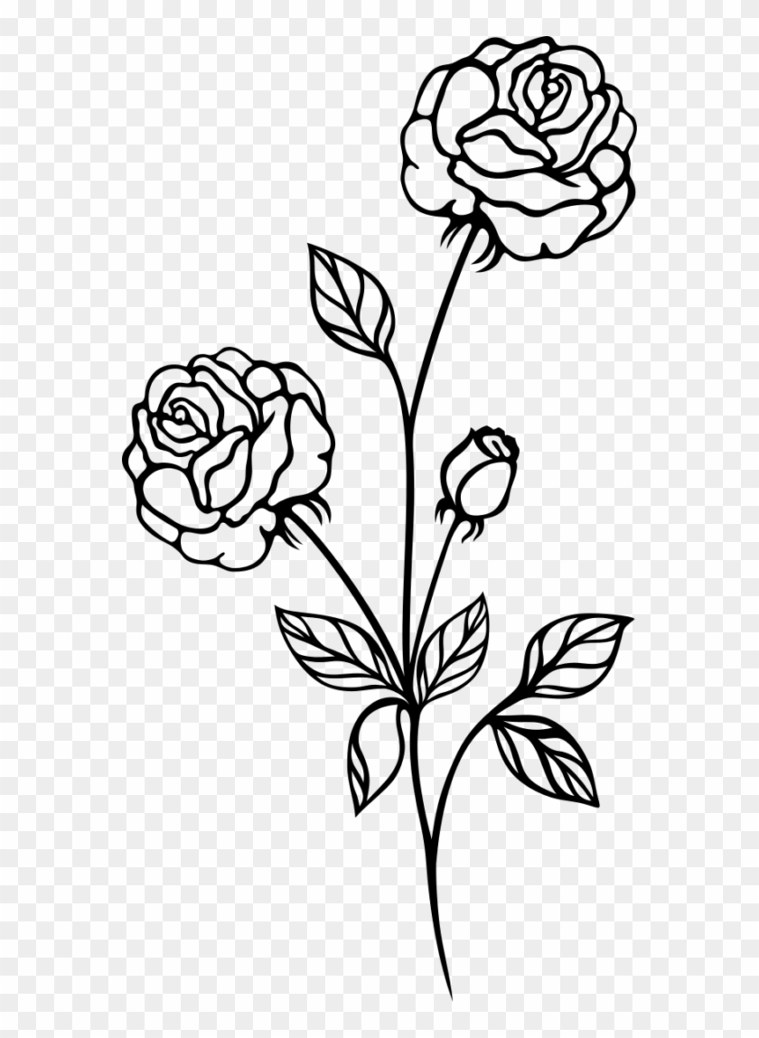 28 Collection Of Rose Clipart Black And White Transparent - Rose Plant Black And White #825322