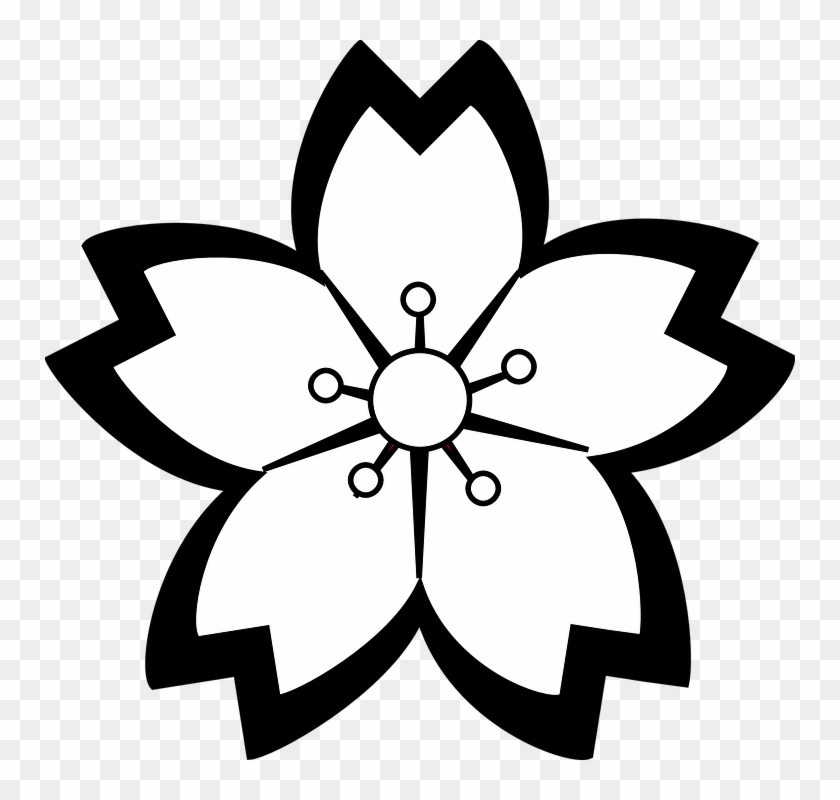 Outline Of Flowers 1, Buy Clip Art - Sakura Flower Drawing Black And White #825337