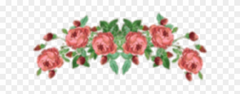 Transparent Flower Crown Tumblr Choice Image Flower - Garden Roses #825368
