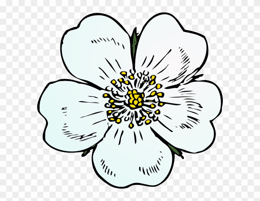 How To Set Use White Rose Icon Png - Draw A Apple Blossom Flower #825398