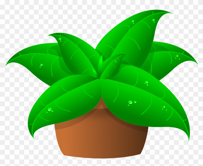 Plants In Pot - Clip Art Of Plant #825416