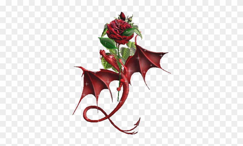 Animated Rose Wallpaper Hd Tumblr For Walls For Mobile - Dragon And Rose Tattoo #825469