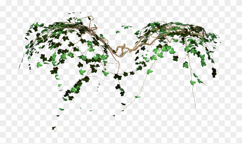 Transparent Vines Tumblr Png Image - Vines Transparent #825594