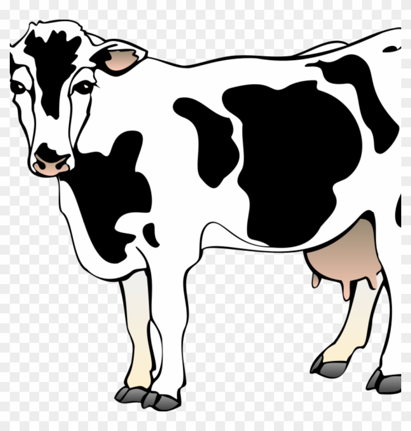 Cow Clipart Cows Clipart 04 Clipart Panda Free Clipart - Clip Art Of Cow #825894