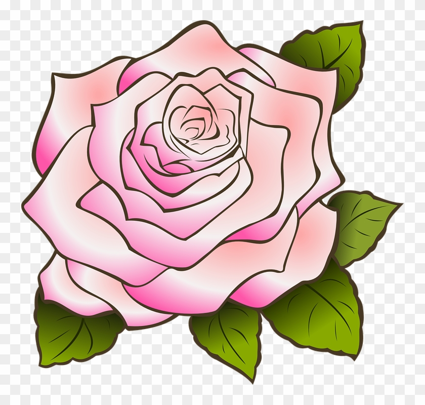 Rose Flower Drawing 4, - Pink Rose Clip Art #825976