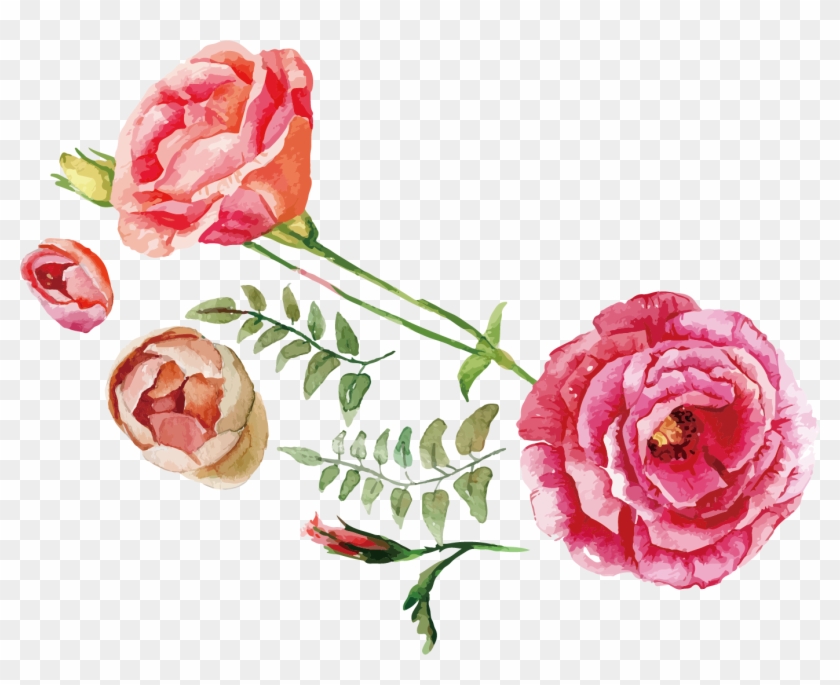 Rose Flower Bouquet Illustration - Watercolor Flowers Vector Free Download #826090