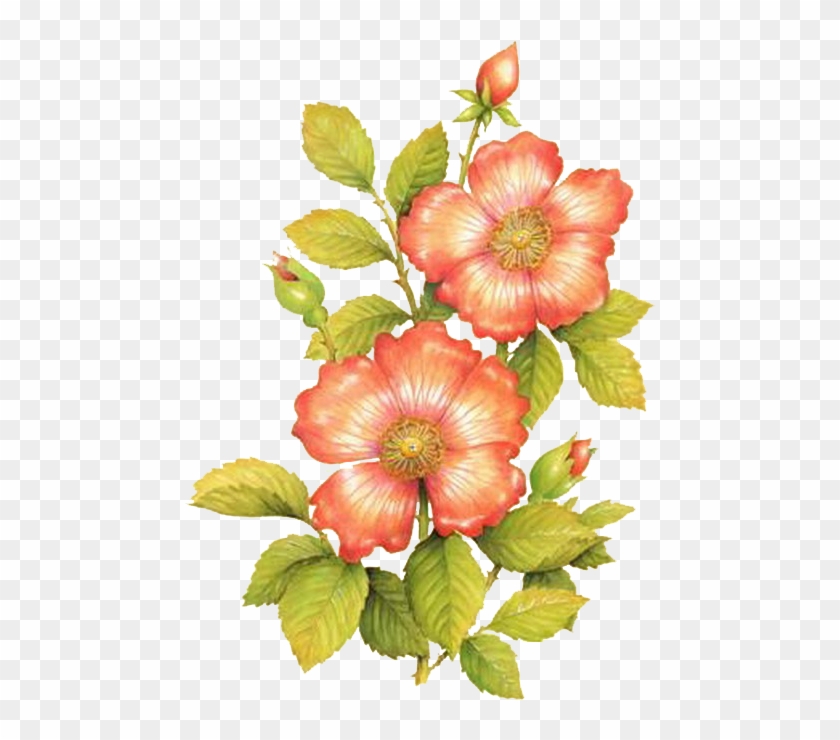 Laminas De Flores Para Decoupage #826206