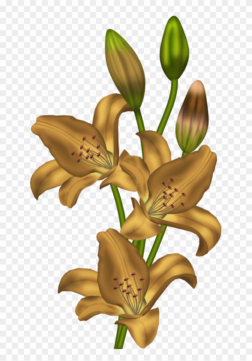 Golden Lilies Cluster - Lirium Para Pintar En Tela #826365