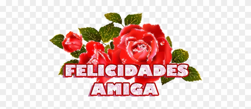 Gifs De Felicidades - Felicidades Amiga Con Rosas #826593