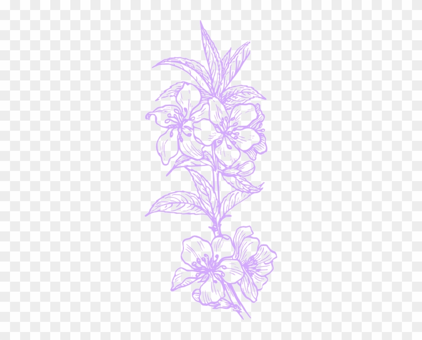 Original Png Clip Art File Purple Hawaiian Flower Svg - Plant Clip Art #826648