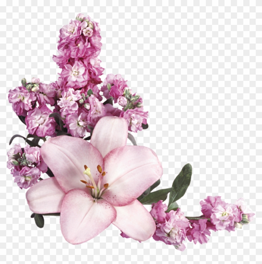 Цветочный Уголок - Цветы Уголок Пнг #826751