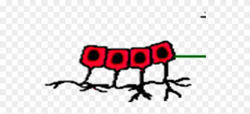 Image Of Ependymal Cells - Ependyma #826788