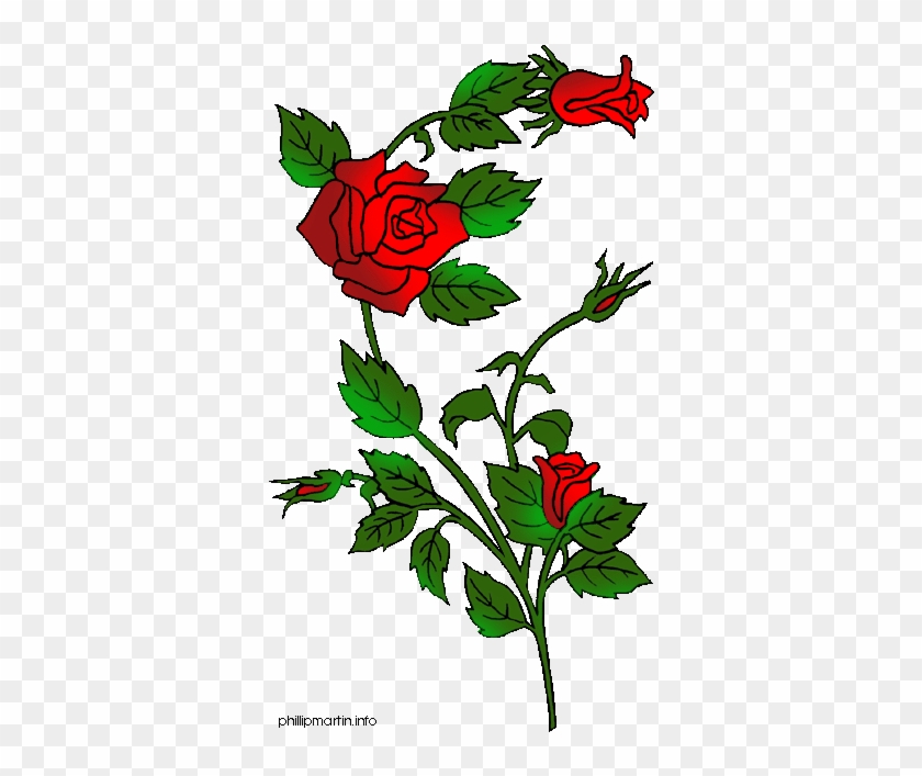 Vine Clipart Rose Thorns - Rose Clip Art Gif #826931