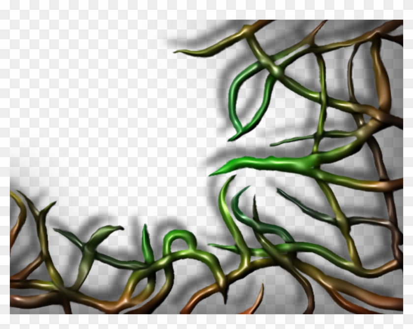 Creepy Clipart Vine - Vines Png #826970