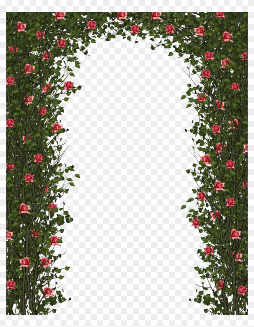 Rose Bush Clipart Rose Vines - Rose Bush Clipart Rose Vines #826974