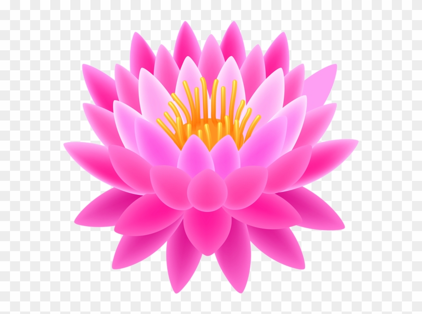 Pink Lotus Transparent Png Clip Art Image - Lotus Psd #827076
