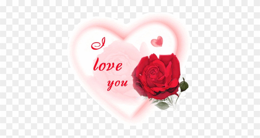 I Love You Heart Glitter - Rose With I Love U #827084