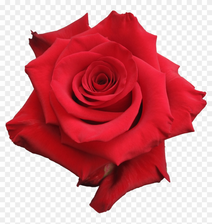 Red Paris - Paris #827172