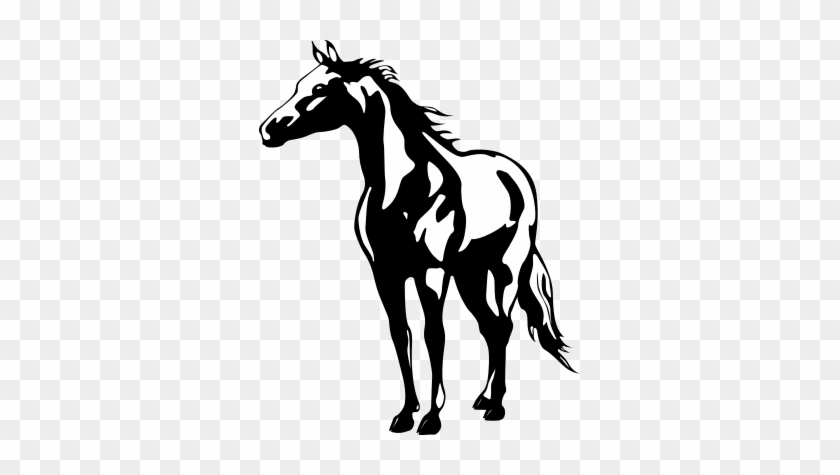 Horse - Aluckyhorseshoe Horse Decal Name Sticker Girls Bedroom #827454