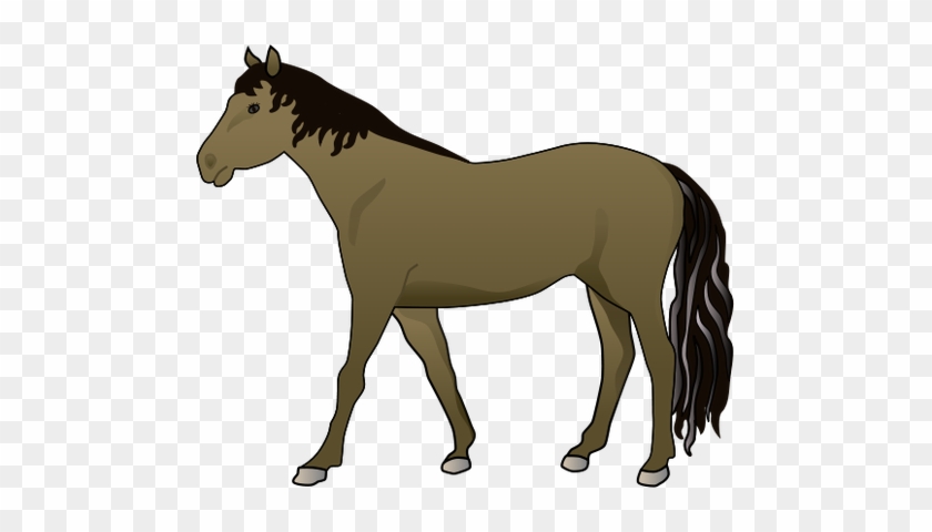Equus Ferus Caballus - Horse Illustration #827460