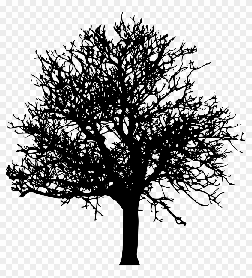 45 Tree Silhouettes Png Transparent Background - Tree Silhouette No Background #827542